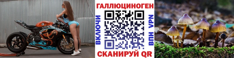 shop официальный сайт  Будённовск  Галлюциногенные грибы прущие грибы 